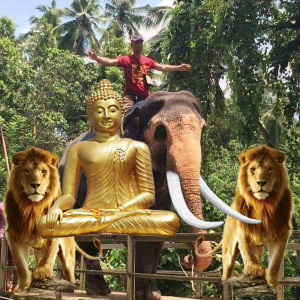 DIntele Lui Buddha Dintele Lui Buddha
